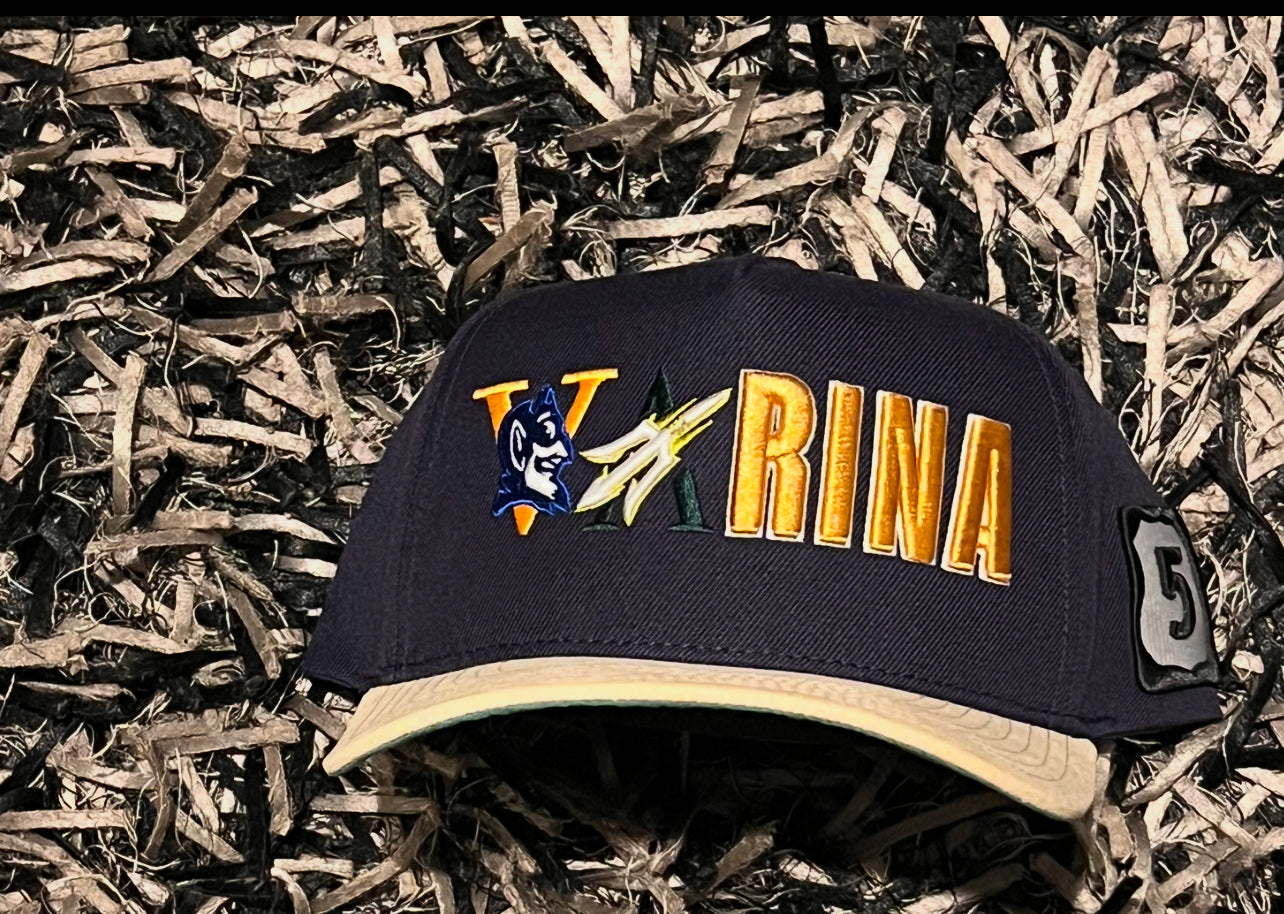 Route V Hat